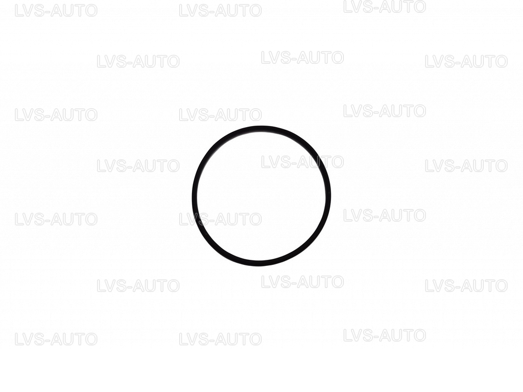 Уплотнительное кольцо к фильтру Alex ULTRA 360 d25.jpg